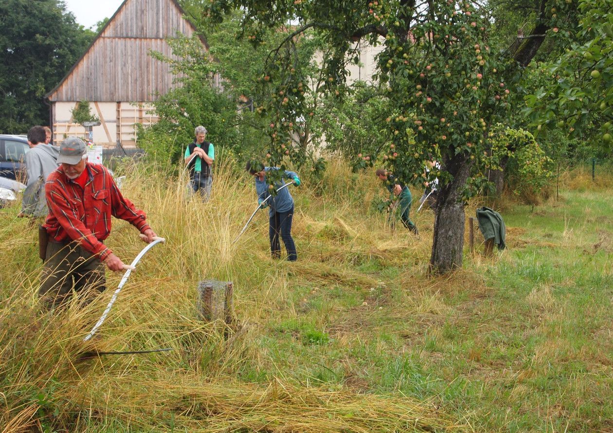 Sensenmähkurs des Erlanger BUND Naturschutz Sensen mähen Kurs Erlangen BUND Naturschutz
