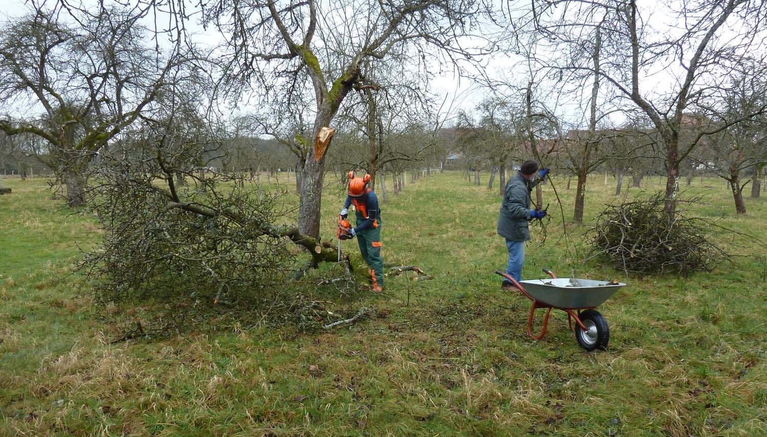 Hier wird der Astbruch vorbereitet für das Häckseln