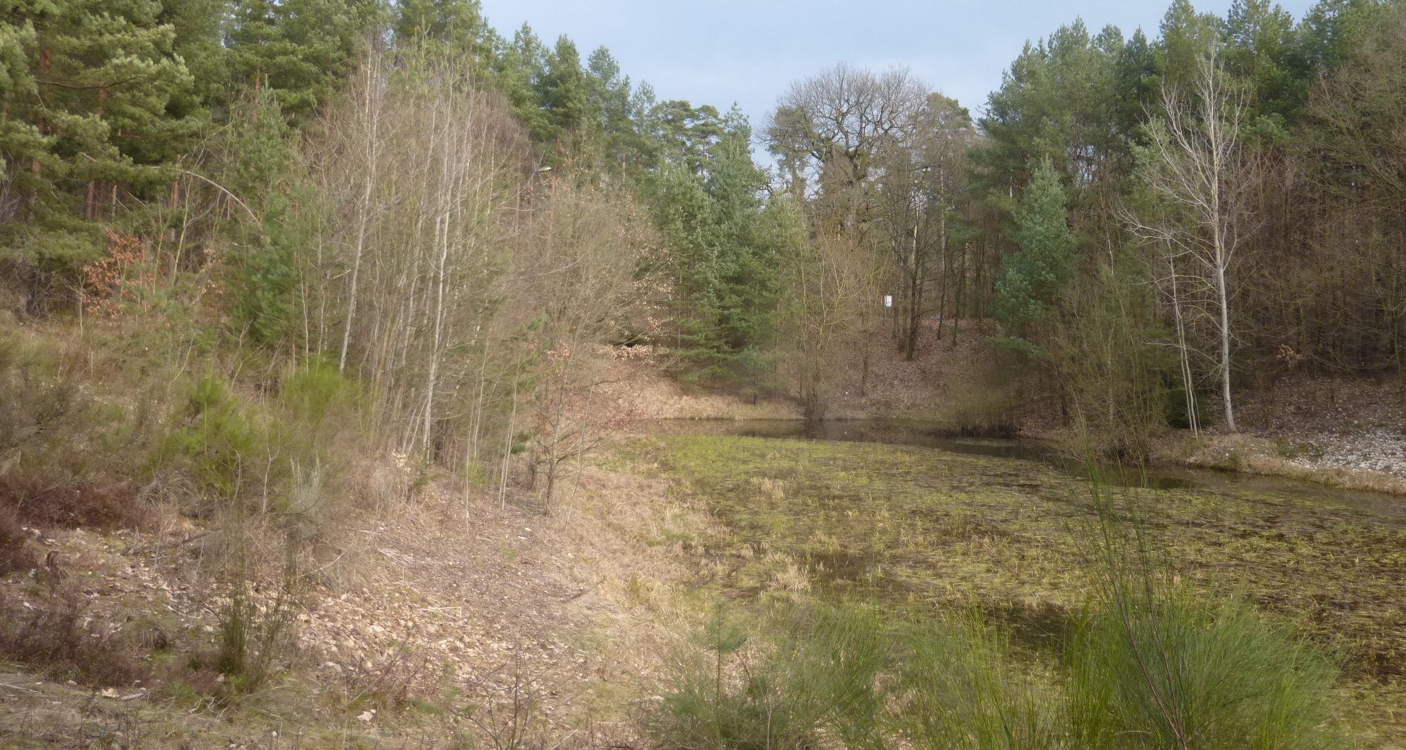 Sandgrube Rosig 2014