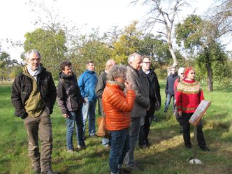 Bild 6 vom Streuobstwiesen-Kennenlern-Pfad