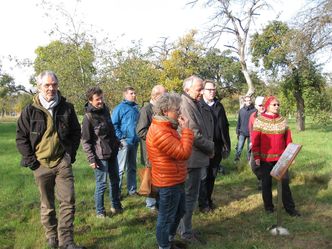Bild 6 vom Streuobstwiesen-Kennenlern-Pfad