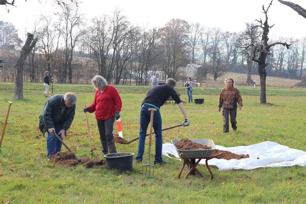 Emsige Helfer legen begeistert los.