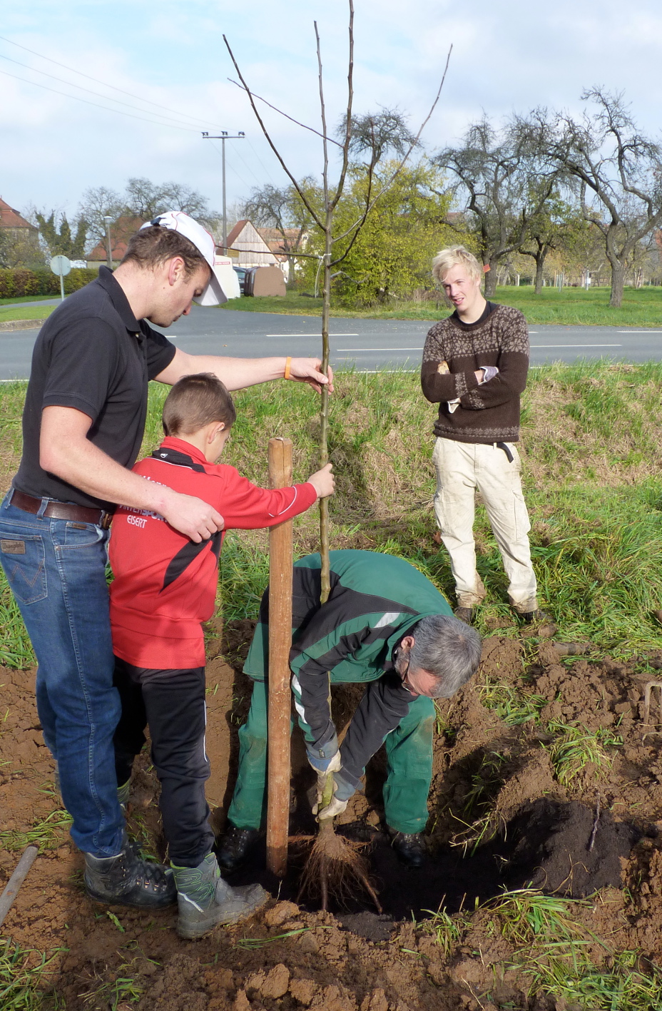 Obstbaumpflanzung 2014