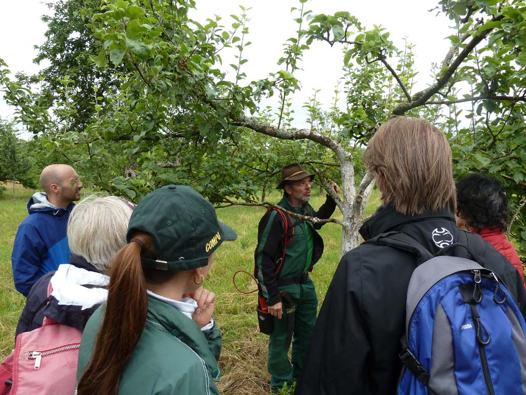 Sommer-Obstbaumschnittkurs am 27. Juni 2015