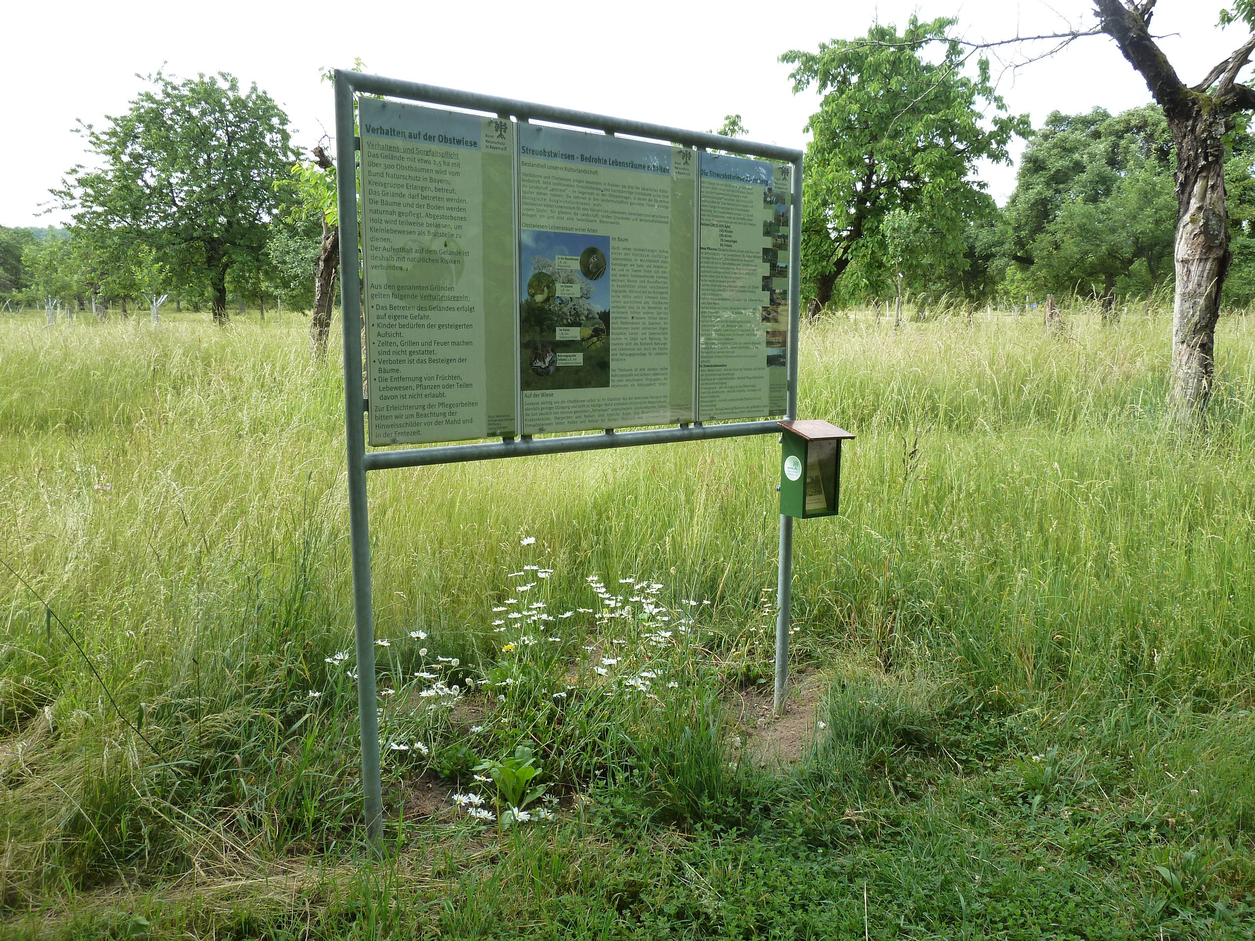 Unsere Infotafel am Wanderweg am nördlichen Rand der Streuobstwiese mit einem Kasten, aus dem man unsere Flyer mitnehmen kann.