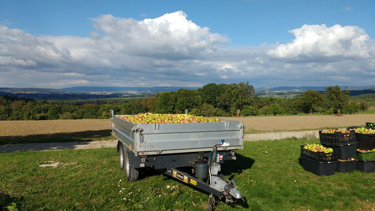 Bei unserer zweiten Ernte am 8. Oktober 2016 war wieder herrliches Wetter. Hier haben wir die Äpfel nach Marloffstein gebracht, wo diesmal Angis Mobile Mosterei stand. 