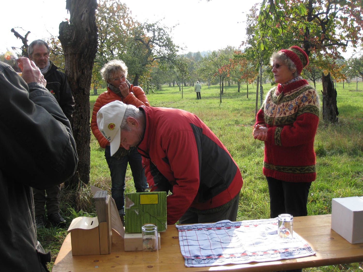 Bild 11 vom Streuobstwiesen-Kennenlern-Pfad 