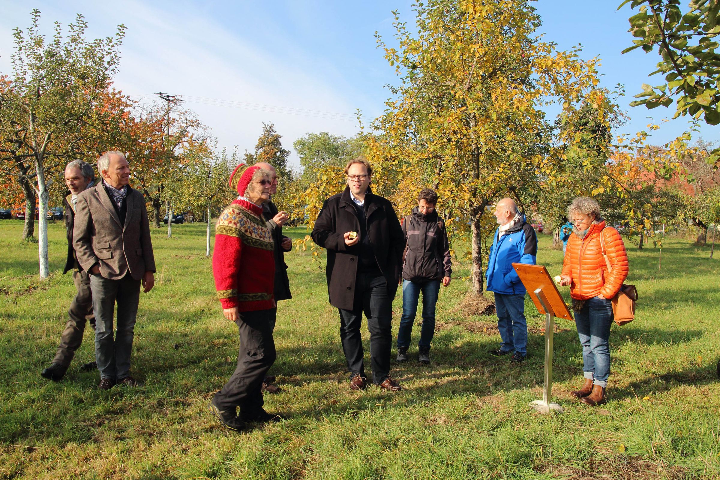 Bild 12 vom Streuobstwiesen-Kennenlern-Pfad 