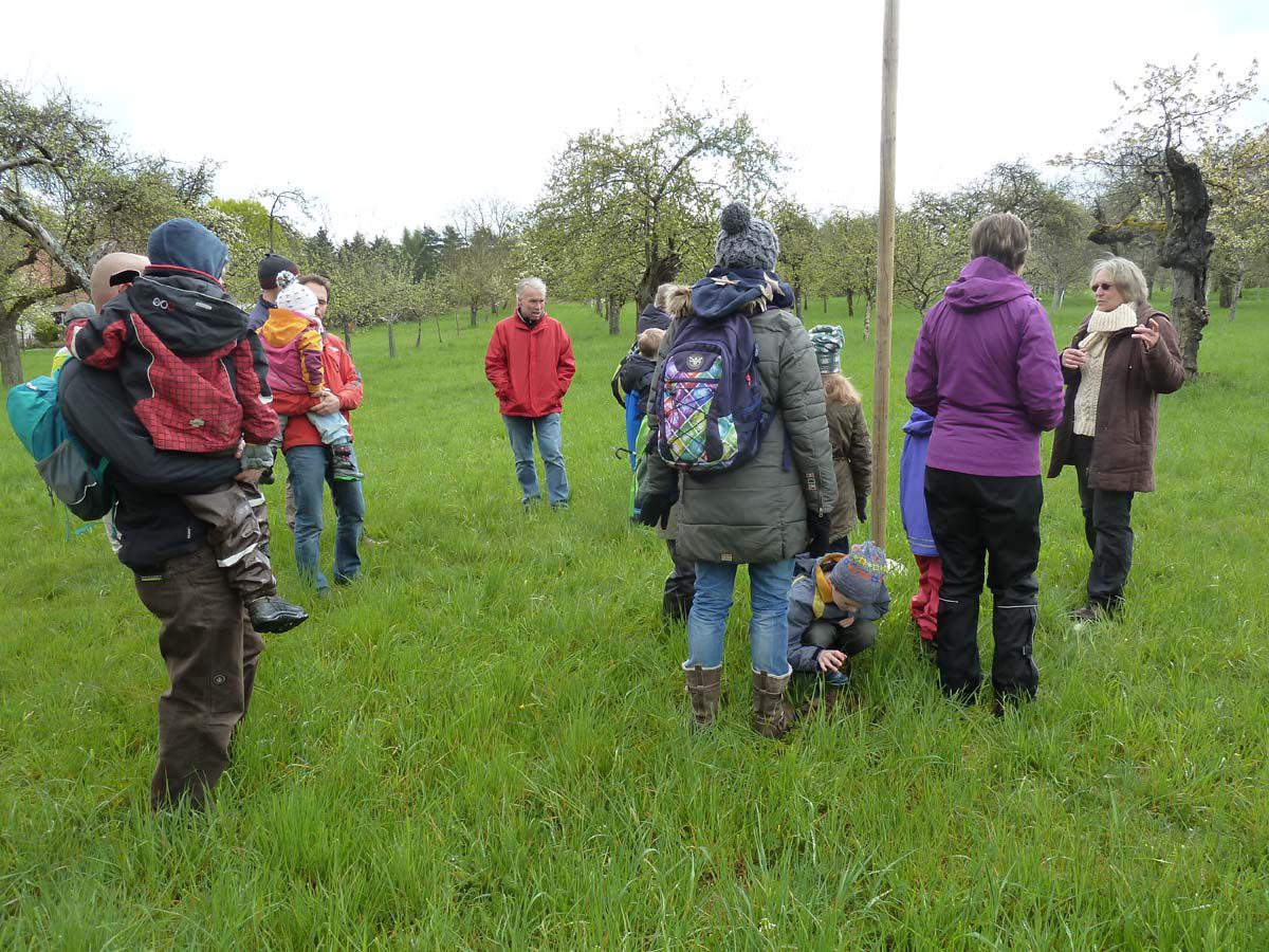 Die Kindergruppe mit Eltern und Geschwistern auf der Streuobstwiese 