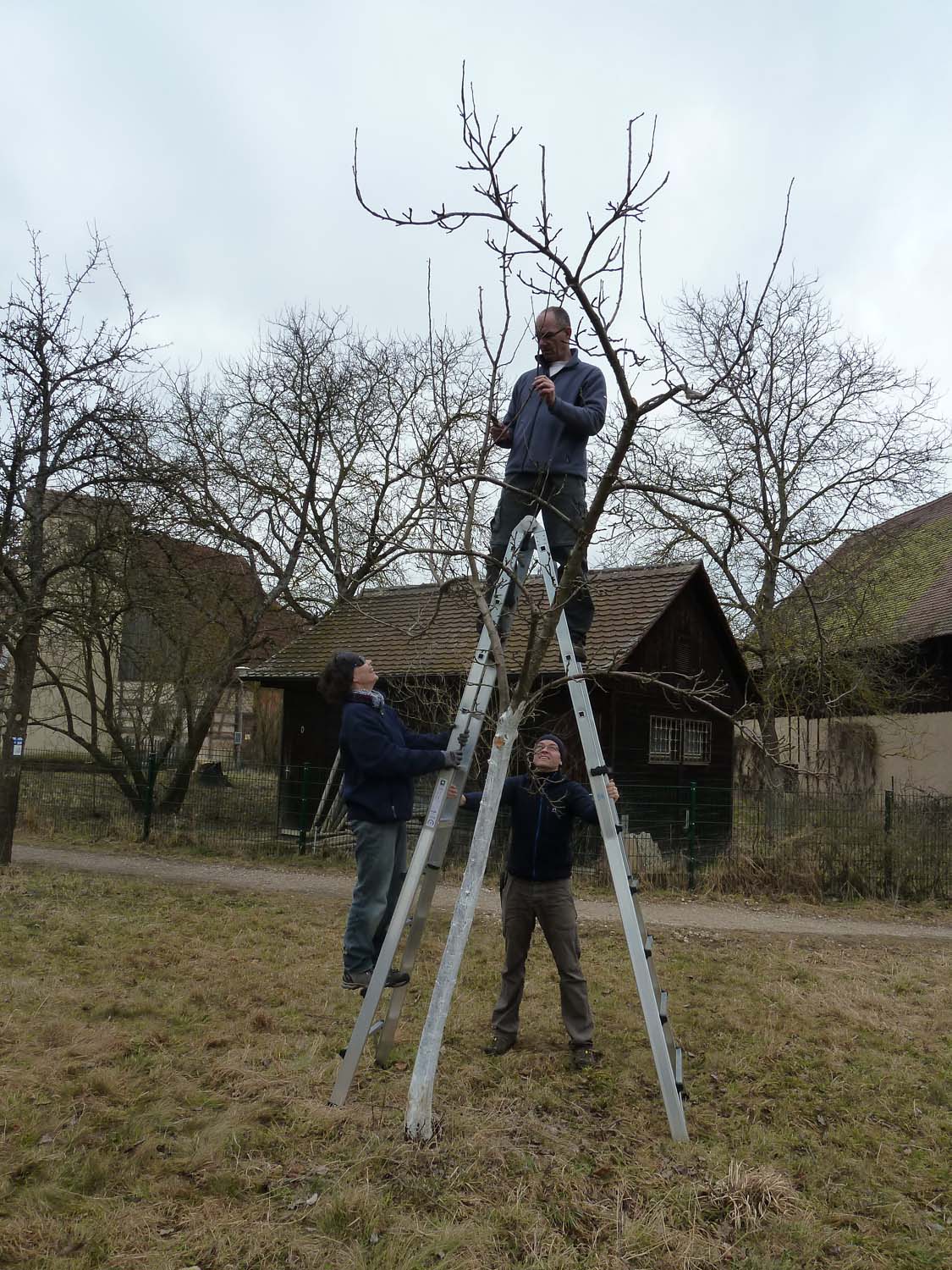 Im März machen wir den Winterschnitt.