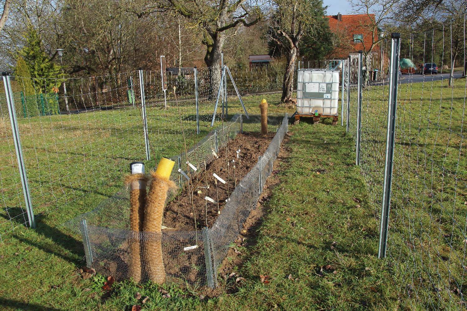 Foto: die fertige Baumschule